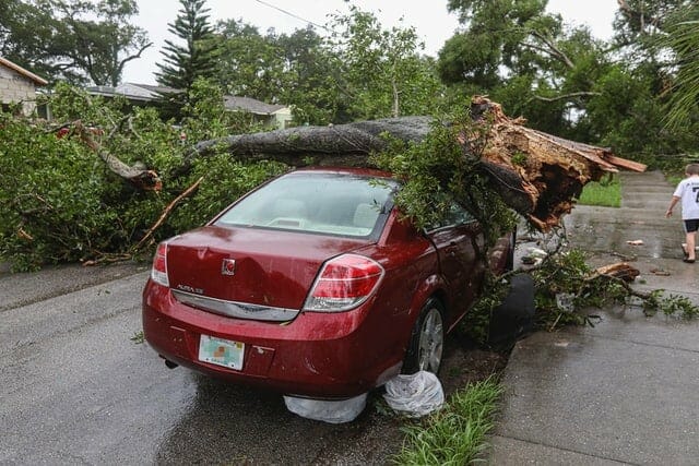 A red car heavily damaged by a fallen tree.