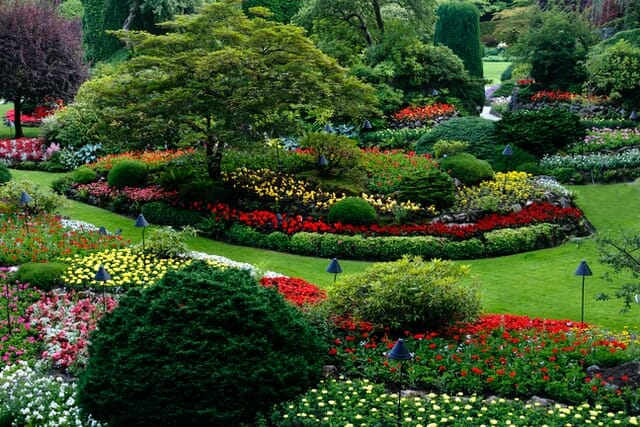landscaped garden