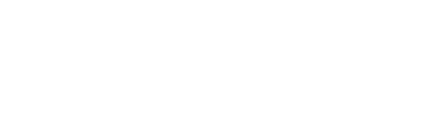Tivly Logo White