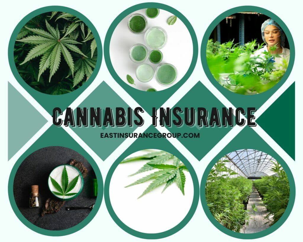 Unlocking the Potential of Synthetic Cannabis The Importance of Adequate Insurance Coverage